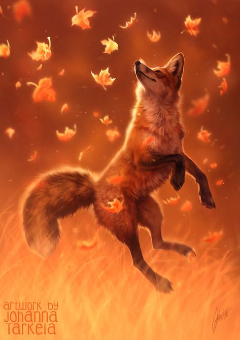 Personal project Fox Artwork, Art Fox, Fox Drawing, Fox Pictures, Fox Illustration, Pet Fox, Foxtrot, Fox Art, Cute Fox