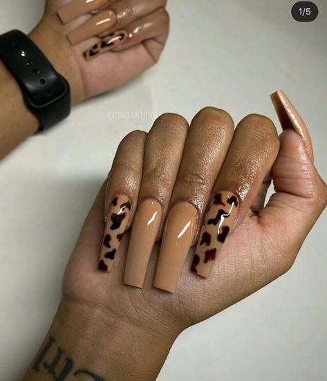 Brown Acrylic Nails, Her Nails, Fall Acrylic Nails, Exotic Nails, Kandy, Luxury Nails, Dream Nails, Coffin Nails Designs, Fire Nails