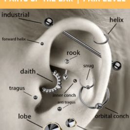 . Explore more Ear Piercing ideas on positivefox.com Ear Piercings For Men, Ear Piercings Cute, Piercings Cute, Piercings Chart, Second Ear Piercing, Different Ear Piercings, Ear Peircings, Ear Piercings Chart, Piercing Chart