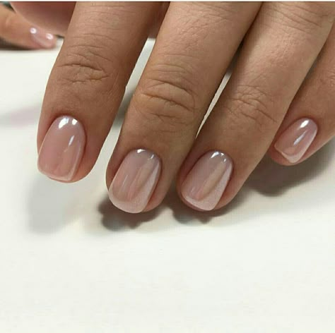 Natural Metallic Nails, Short Glazed Nails, Spring Powder Dipped Nails, Moh Nails, Short Pearl Nails, Nude Spring Nails, Timeless Nails, Short Summer Nails, Subtle Nails