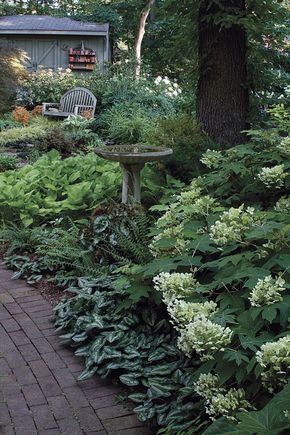 Side House Garden, Shade Garden Design, Japanese Garden Landscape, Pathway Landscaping, Shade Garden Plants, Backyard Vegetable Gardens, Garden Wallpaper, Vegetable Garden Design, Woodland Garden