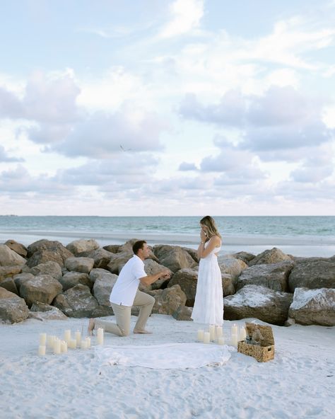 Logyn drove to visit Cam, all the way from TX, and then was surprised with candles, a picnic basket of champagne, for Cam’s beach proposal!! She clearly said yessss 🥹 Some of the sweetest souls, I’m so grateful to have documented this precious evening for them to look back on forever <3 #stpetebeachphotographer #stpetephotographer #tampaphotographer #clearwaterphotographer #sarasotaphotographer #treasureislandphotographer #uphambeach #siestakeyphotographer Cute Proposal Ideas, Beach Proposal, St Pete Beach, Siesta Key, Sweet Soul, Aesthetic Beach, Treasure Island, Marriage Proposals, So Grateful