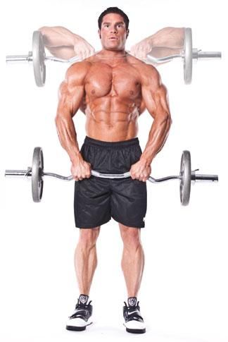 Curl Bar Upright Row Curl Bar Exercises, Bar Workouts, Bigger Shoulders, Bar Exercises, Shoulder Gym, Back Workout Routine, Sports Physical Therapy, Good Arm Workouts, Best Shoulder Workout