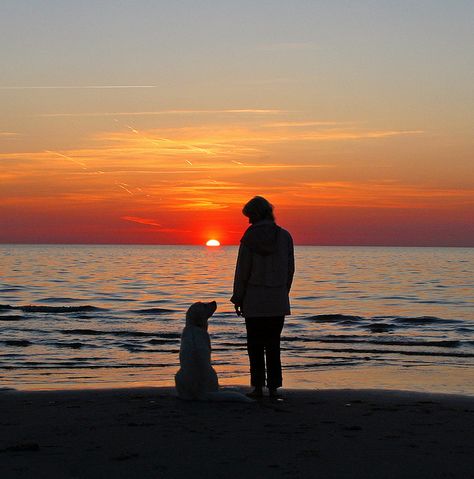 Ditte and me |  by Ingrid Brandt. Woman And Dog Silhouette, Beach Dog Photos, Dog Family Pictures, Woman And Dog, Puppy Photography, Beach Dog, Photos With Dog, Dog Photoshoot, Me And My Dog