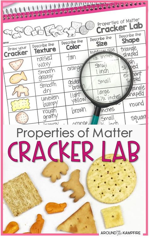 2nd Grade Science, Matter Activities, Lab Science, Science Kids, Activity For Students, Second Grade Science, 1st Grade Science, Lab Activities, First Grade Science