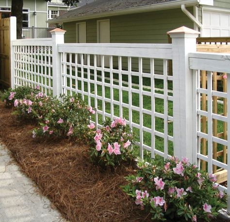 Favorite Fences - Atlanta Decking & Fence Company Fences Alternative, Decking Fence, Fence Plants, Green Fence, Post Caps, Living Fence, Concrete Fence, Lattice Fence, Deck Designs