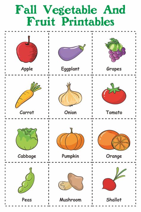 Introduce types of fruit to your child as early as possible! Use this template to teach it while playing with them. Free Vegetable Printables, Vegetable Template, Fruit Printables, Autumn Vegetables, Rainbow Experiment, Kids Veggies, Vegetable Crafts, Fruits And Vegetables Pictures, Hungry Caterpillar Activities