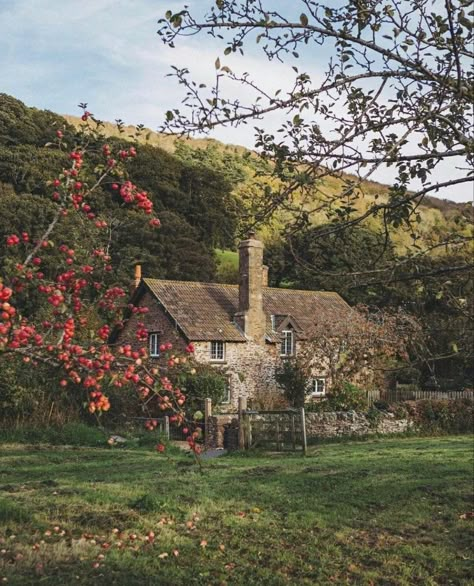 Trees And Flowers, Country Side, Old Stone, A House, Trees, Cottage, Stone, Flowers, Green