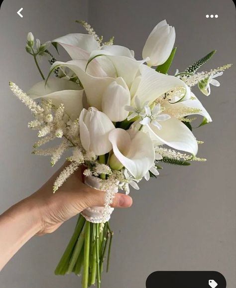 Courthouse Wedding Flowers, Courthouse Wedding Bouquet, Small Wedding Bouquets, Simple Wedding Bouquets, Bridal Party Bouquets, Calla Lily Bouquet, Wedding Bouquets Bride, Bridal Bouquet Flowers, Lily Bouquet