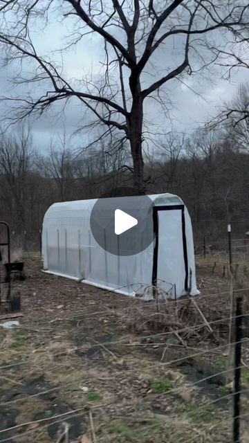 Watch how I turned our cattle panel trellis  into a little temporary green house. Definitely not a professional, but it turned out well f... | Instagram Diy Cattle Panel Greenhouse, Cattle Panel Trellis, Cattle Panels, Dig Gardens, Greenhouse Plans, School Garden, Backyard Garden, Diy Garden, Garden Inspiration