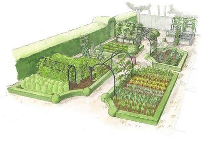 Kitchen Garden Illustration, Kitchen Garden Layout, Fruit Garden Layout, Garden Design Software, Native Landscaping, Fruit Cage, Edible Gardens, Spice Garden, Vegetable Planters