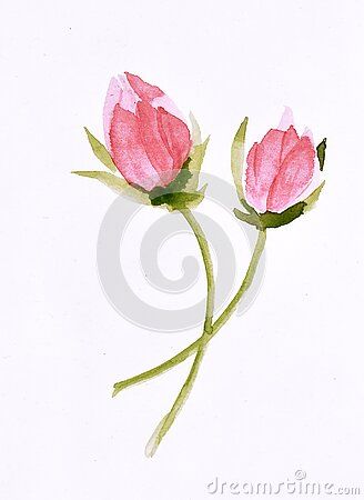 Watercolor Painting of Flower Buds Stock Illustration - Illustration of floral, paper: 196259599 Flower Buds Painting, Bud Painting, Art Deco Watercolor, Red Bud, Art Deco Illustration, Floral Paper, Paper Floral, Flowers Watercolor, Flower Bud