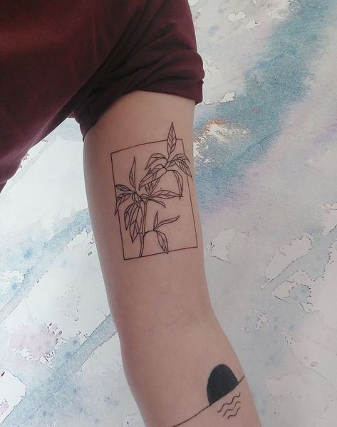 Tattoo With Square Frame, Tattoo In Rectangle Frame, Square Outline Tattoo, Rectangle Outline Tattoo, Square Art Tattoo, Women Plant Tattoo, Tattoo In A Rectangle, Tattoos In Rectangles, Unique Linework Tattoos