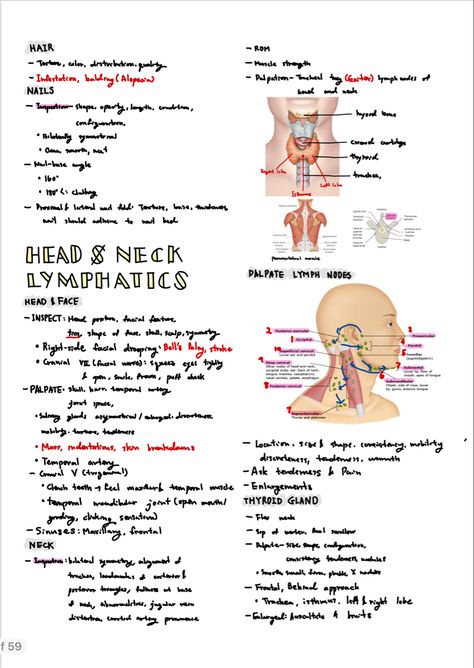 Head To Toe Assessment Nursing, Nursing Documentation, Nursing Study Guide, Nursing School Motivation, Nursing Student Tips, Nursing School Studying, Study Tools, Nursing Study, Nursing Notes