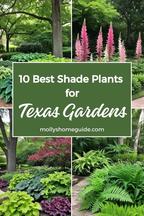 Discover the best Texas shade plants for your garden! Whether you're looking for perennial shade plants for Texas or heat-resistant options for North Texas, there are plenty of native and adapted options to choose from. Create a shade oasis with these hardy outdoor plants perfect for Central and North Texas gardens. Explore an array of native Texas plants known for their resilience in shaded areas. Elevate your North Texas shade garden with perennials that thrive in lower light conditions. Flowerbed Ideas Texas, Texas Native Front Yard, Texas Native Shade Plants, Butterfly Garden Texas, Texas Native Flowers, North Texas Native Plants Landscaping, North Texas Flower Beds Front Yards, Landscape Ideas Texas, North Texas Landscaping