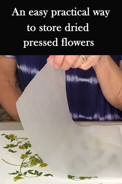 How To Put Dried Flowers In Resin, How To Keep Dried Flowers, Pressed Herbs, How To Use Pressed Flowers, How To Store Dried Pressed Flowers, How To Dry Press Flowers, Pressed Flower Storage Ideas, What To Do With Dried Flower Petals, Store Dried Flowers