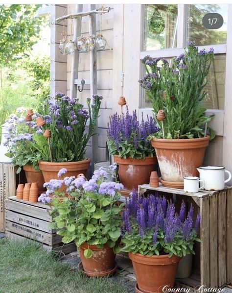 Jamaican Garden, Collage Houses, Pot Display, Hard To, Courtyard Gardens, Small Courtyard Gardens, Courtyard Gardens Design, Your Favorite, Have Inspiration