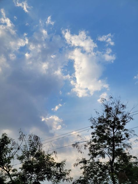 Clouds , trees Sunny Days Aesthetic, Sunny Day Pictures, Sunny Clouds, Day Sky, Sunny Sky, Sky Day, Sky Pics, Sky Pictures, Nature Aesthetic