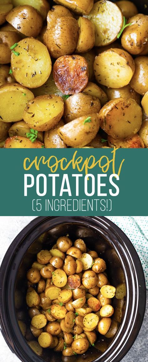 Potato In Crockpot Slow Cooker, Crock Pot New Potatoes, New Potatoes Crockpot, Potato Side Dishes Crockpot Easy Recipes, Potluck Potatoes Crockpot, Easy Crock Pot Potatoes, How To Cook Potatoes In Crock Pot, Potatoes In The Crockpot Slow Cooker, Crock Pot Recipes Potatoes