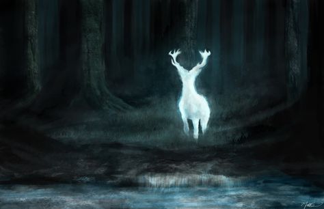 Harry Potter Wall, Expecto Patronum, Prisoner Of Azkaban, Deer Art, Harry Potter Aesthetic, Marauders Era, James Potter, The Marauders, Wizarding World