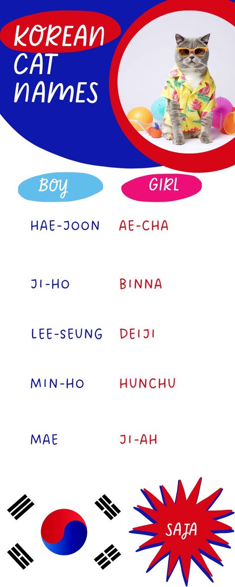 Infographic on Korean Cat Names Korean Pet Names, Korean Cat Names, Cat Names Girl, Names For Pets, Names In Korean, Names For Male Cats, Names For Cats, Korean Cat, Girl Cat Names