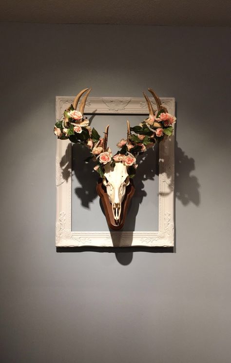 European Mount Ideas, Deer Skull Decor, Deer Head Decor, Cow Skull Decor, Antler Ideas, Deer Antler Decor, Deer Mounts, Antler Art, Hunting Decor