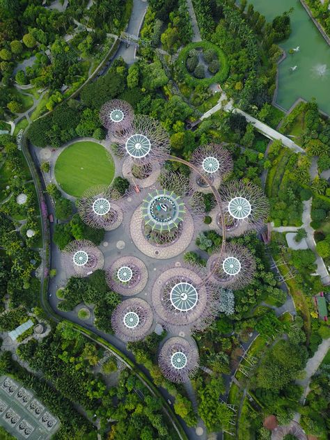 Pavement in Park in Birds Eye View · Free Stock Photo Supertree Grove, Places To Visit In Singapore, Henderson Waves, Gardens By The Bay Singapore, Singapore River, Singapore Changi Airport, Singapore Botanic Gardens, Visit Singapore, Rainbow Painting