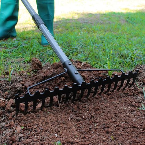 10 Types of Rakes and Their Uses Leveling Lawn, Farming Land, Rake Tool, Landscaping Around Trees, Rid Of Ants, Get Rid Of Ants, Garden Rake, Egress Window, Metal Head