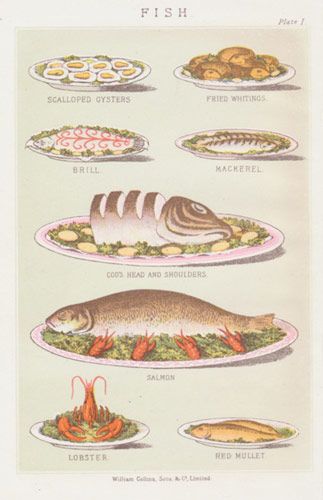 Regency Dish: Fish, via Regency Reader Regency Era Food, Victorian Food, Regency Food, Victorian Recipes, Regency Ball, Fancy Dinner Party, Food Illustration Art, Vintage Cooking, Vintage Food