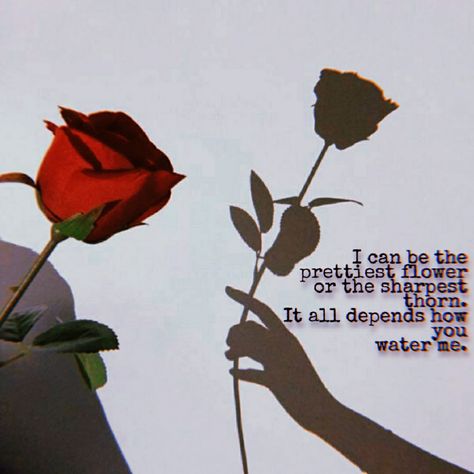 #Flower #Thorn #Pretty #Water #Rose Roses And Thorns Quotes, Rose Thorn Aesthetic, Rose Thorn Quotes, Rose Among Thorns, Every Rose Has Its Thorn Quote, Pretty Water, Rose Thorns, Rose Quotes, Pretty Flower