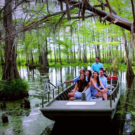 While Cajun Encounters offers several different types of tours, their swamp tours are always always a big hit. New Orleans Swamp Tour, Louisiana Vacation, Slidell Louisiana, Swamp Tours, New Orleans Vacation, Louisiana Travel, Southern States, New Orleans Travel, Deep South