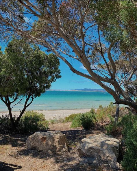 Port Lincoln & Eyre Peninsula on Instagram: “Coffin Bay National Park 📷 photo by @lakeishatogafau #coffinbay #coffinbaynationalpark #eyrepeninsula #seesouthaustralia #seeaustralia…” Port Lincoln South Australia, Aus Travel, Eyre Peninsula, Aussie Summer, Port Lincoln, Beautiful Australia, Ocean Island, National Park Photos, Dream Board