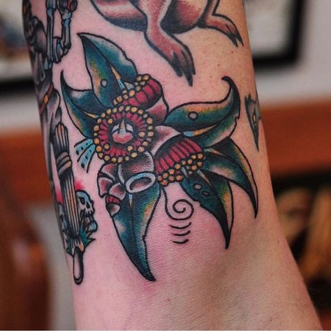 Native Wildlife Tattoo By Mark Lording – Vic Market Tattoo Native Tattoos For Women, Lil B Tattoo, Aussie Tattoo, Ash Tattoo, Tattoo Artist Quotes, Pink Flower Tattoos, Tattoo Artist Business Cards, Tattoo Artist Tips, Watercolor Tattoo Artists