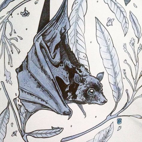 Bat Drawing, Bat Art, Bat Tattoo, Bits And Pieces, Animal Sketches, The Ice, Dark Art, Animal Drawings, Artist Inspiration