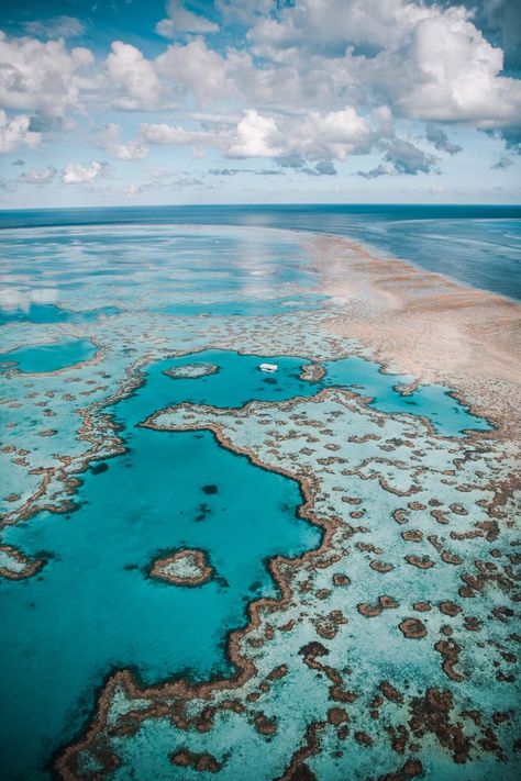 Heart Island, Great Barrier Reef Australia, Barrier Reef Australia, Hamilton Island, Australia Travel Guide, Australian Travel, The Great Barrier Reef, Great Barrier Reef, Jolie Photo