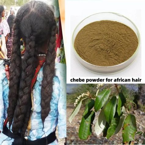 Women With Curly Hair, Chebe Powder, Alopecia Hairstyles, Natural Hair Regrowth, Hair Growth Women, Fast Hair Growth, Hair Care Oil, Fast Hair, Hair Secrets