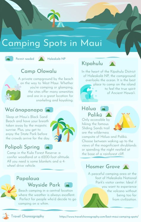 maui camping spots Maui Camping, Ancient Hawaii, Dormant Volcano, Tropical Forests, Hawaii Summer, Haleakala National Park, West Maui, Cali Life, Wilderness Camping