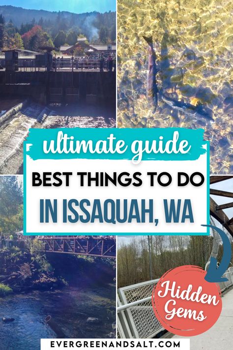 Explore Issaquah, WA, like a local with this guide to the city’s best activities and hidden gems! Discover scenic hiking trails like the popular Tiger Mountain, visit the iconic salmon hatchery, and enjoy the charming historic downtown filled with unique shops and restaurants. Whether you’re looking to catch a live theater performance, savor local cuisine, or spot paragliders soaring above, Issaquah has something for everyone. State Bucket List, Visiting Seattle, Washington Things To Do, Seattle Travel Guide, Washington Road Trip, Unique Shops, Washington Beaches, Tiger Mountain, Issaquah Washington