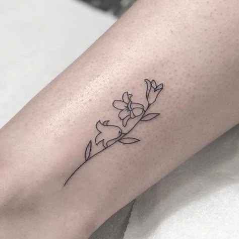 Single Lined Bluebell Tattoos Design For Leg Blue Bell Tattoo Black, Simple Bluebell Tattoo, Chilean Bellflower Tattoo, Bluebell Tattoo Small Simple, Bluebell Line Drawing, Canterbury Bells Tattoo, Fine Line Bluebell Tattoo, Bluebell Tattoo Design, Blue Bell Flowers Tattoo