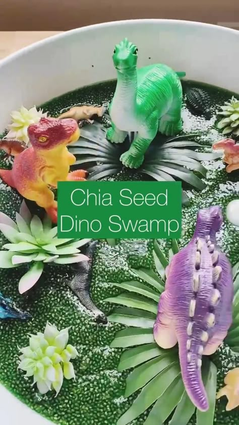 Chia Seed Dino Swamp! in 2022 | Sensory crafts, Easy toddler activities, Baby learning activities Toddler Sensory Bins, Outfit Hiking, Easy Toddler Activities, Baby Sensory Play, Sensory Crafts, Baby Play Activities, Sensory Activities Toddlers, Lost 100 Pounds, Summer Hiking