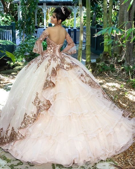 Rose Gold Quinceanera Dresses, Gold Quinceanera Dresses, Princess Quinceanera Dresses, Rose Gold Quinceanera, Xv Dresses, Mexican Quinceanera Dresses, Charro Quinceanera Dresses, Quincenera Dresses, Quinceanera Dresses Gold