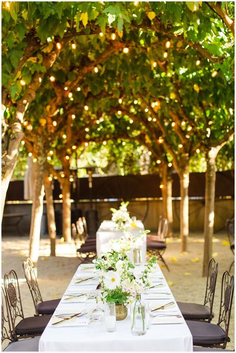 Healdsburg Wedding, Family Affair, Wedding Film, Twinkle Lights, I Know It, Backyard Ideas, My Favorite Things, Event Space, California Wedding