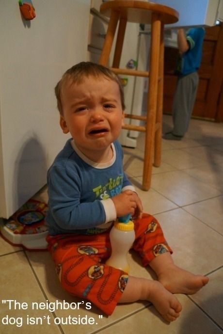 Hilariously Irrational Reasons Toddlers Have Had Crying Fits - Memebase - Funny Memes Reasons Kids Cry, Crying Tumblr, Temper Tantrums Toddler, Crying For No Reason, Tantrum Kids, Magic Beans, Sleep Tips, Cute Funny Babies, Baby Crying