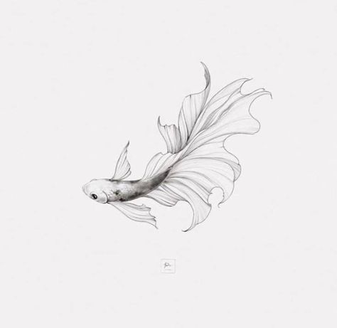 Beta Tattoos, Beta Fish Tattoo Design, Beta Fish Tattoos, Fish Tattoo Drawing, Beta Fish Tattoo, Beta Fish Drawing, Fish Tattoo Design, Tattoo Fish, Pisces Tattoos