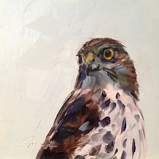 kim smith fine art: cooper's hawk Hawk Painting Acrylic, Hawk Painting, Hawk Art, Boy Painting, Green Bunny, Big Painting, Kim Smith, Cooper's Hawk, Bird Sketch