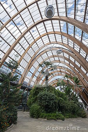 Winter gardens at Sheffield, one of Europe's largest glasshouses, with striking parabolic architecture Parabolic Architecture, Garden Route, Mood Images, Arched Windows, Sheffield, Glass House, Winter Garden, Exterior Design, Arch