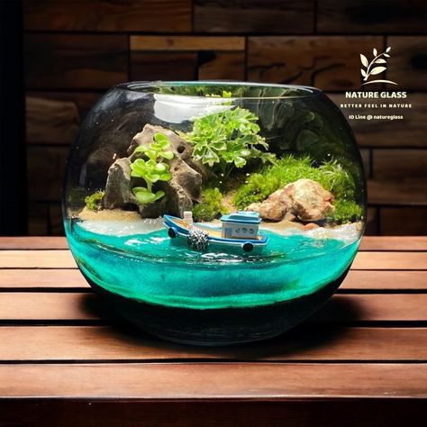 Plant Terrarium Ideas, Ocean Terrarium, Closed Terrarium Plants, Terrarium Ideas, Beautiful Terrariums, Plant Terrarium, Terrarium Plants, Tropical Plants, Resin Crafts