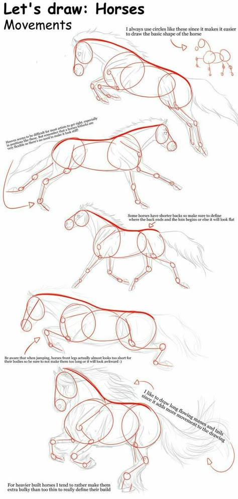 Horse Movements, How To Draw Horses, Horse Drawing Tutorial, Drawing Horses, Horse Art Drawing, الفن الرقمي, Horse Sketch, Horse Anatomy, Draw Animals