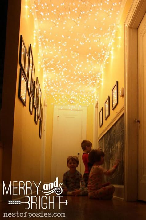 Animal Storage Ideas, Stuffed Animal Storage Ideas, Lights On The Ceiling, Christmas Hallway, Kids Ceiling Lights, Budget Christmas, Indoor Christmas Lights, Diy String Lights, Diy Christmas Lights