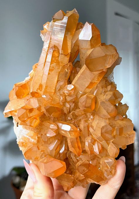 Rare Crystals, Tangerine Quartz, Crystal Garden, Coloring Inspiration, Orange Crystals, Beautiful Stones, Rare Crystal, Crystal Collection, Atlanta Georgia